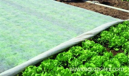 Агроволокно  укрывное (1,6х10 м) в пакетах 30г